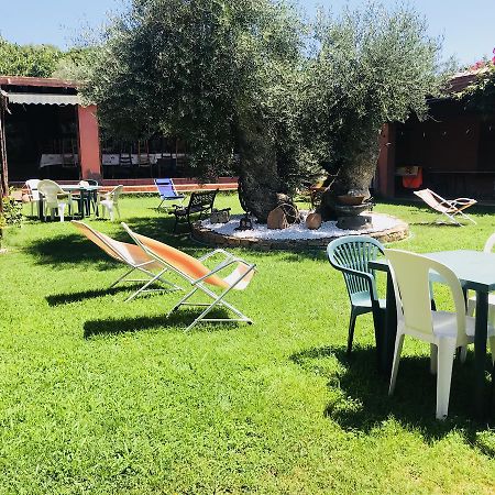 Agriturismo Su Barraccu Loceri Kültér fotó