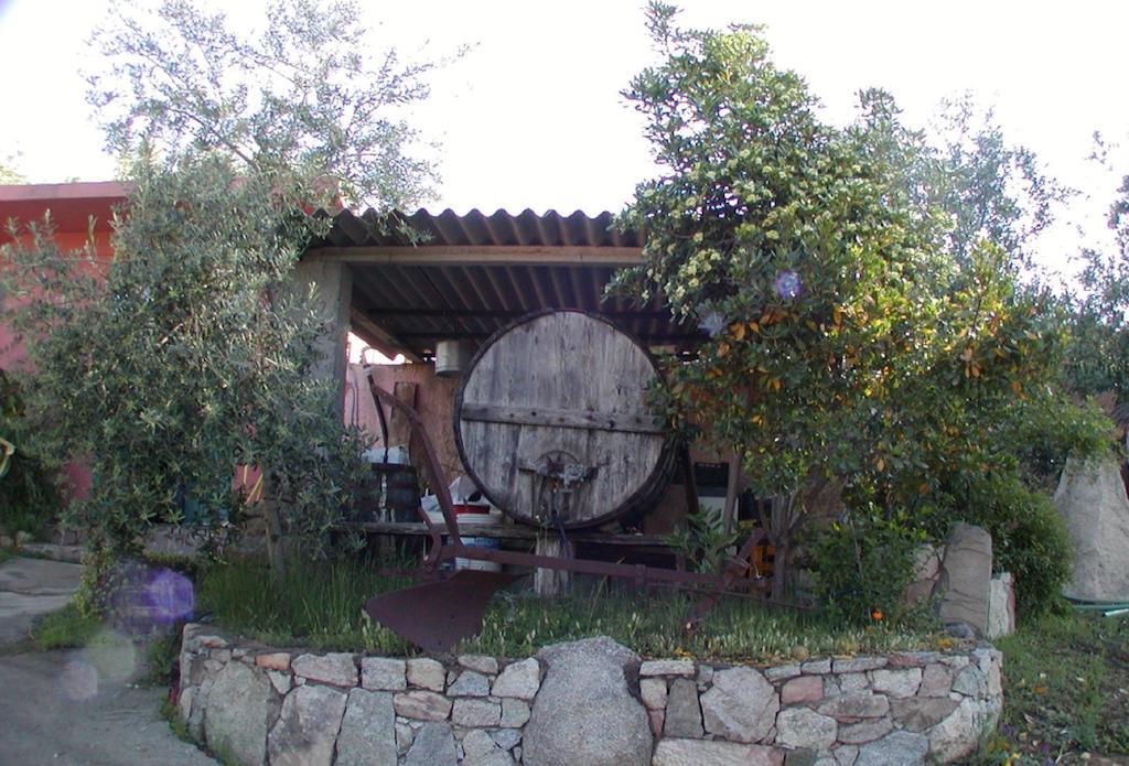 Agriturismo Su Barraccu Loceri Kültér fotó