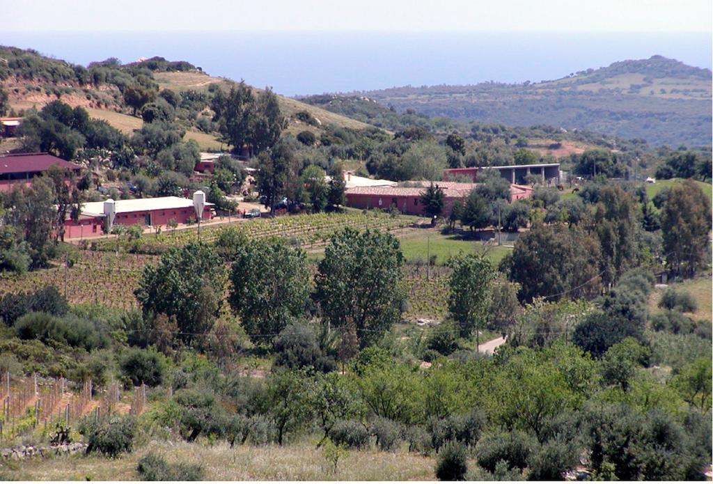 Agriturismo Su Barraccu Loceri Kültér fotó
