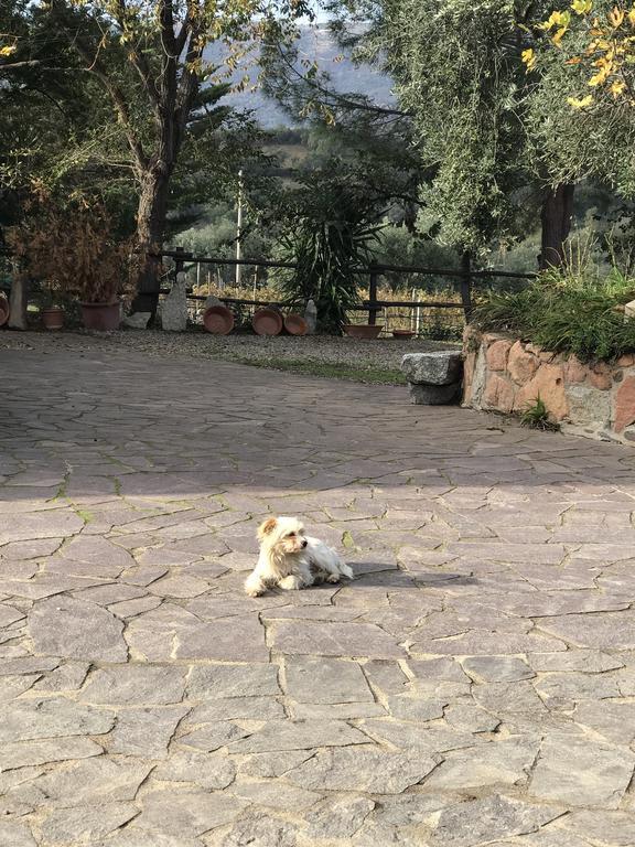 Agriturismo Su Barraccu Loceri Kültér fotó
