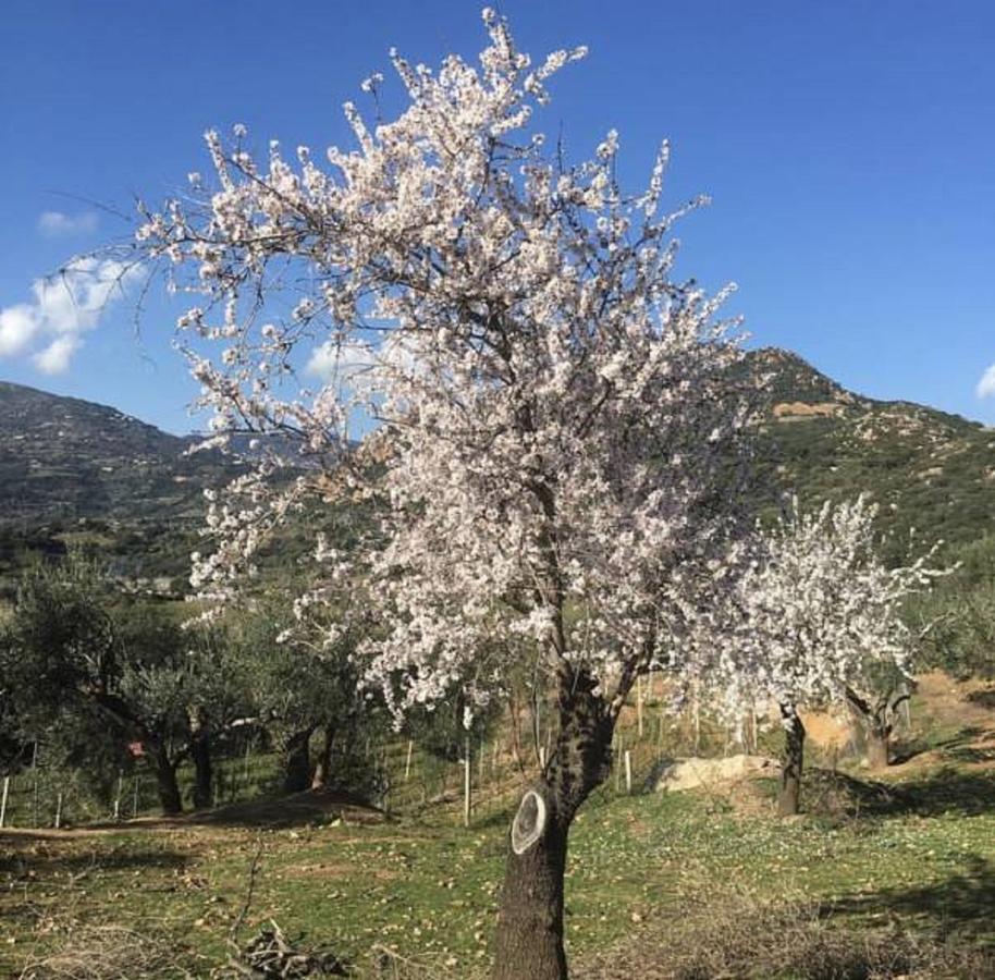 Agriturismo Su Barraccu Villa Loceri Kültér fotó