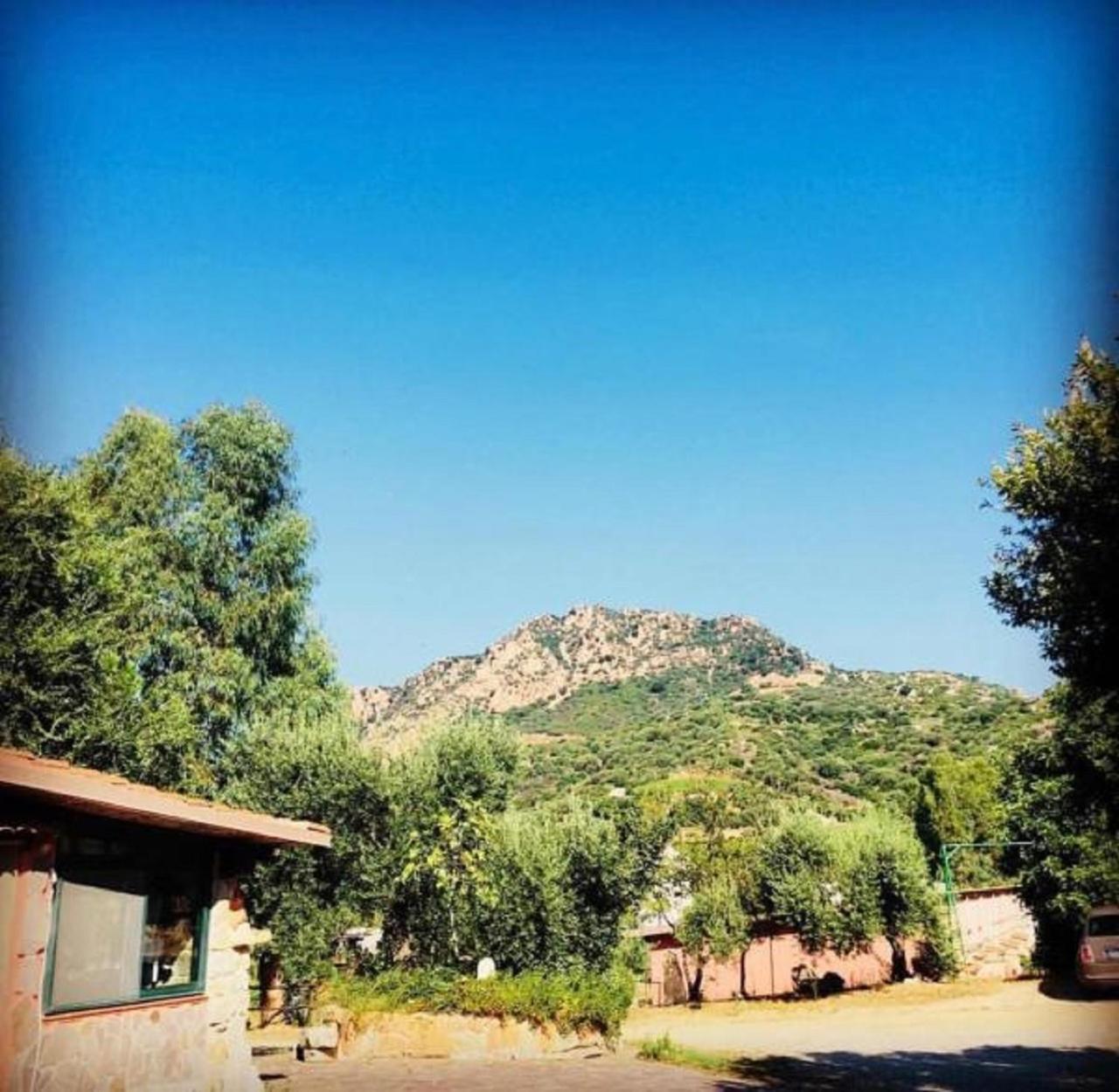 Agriturismo Su Barraccu Loceri Kültér fotó