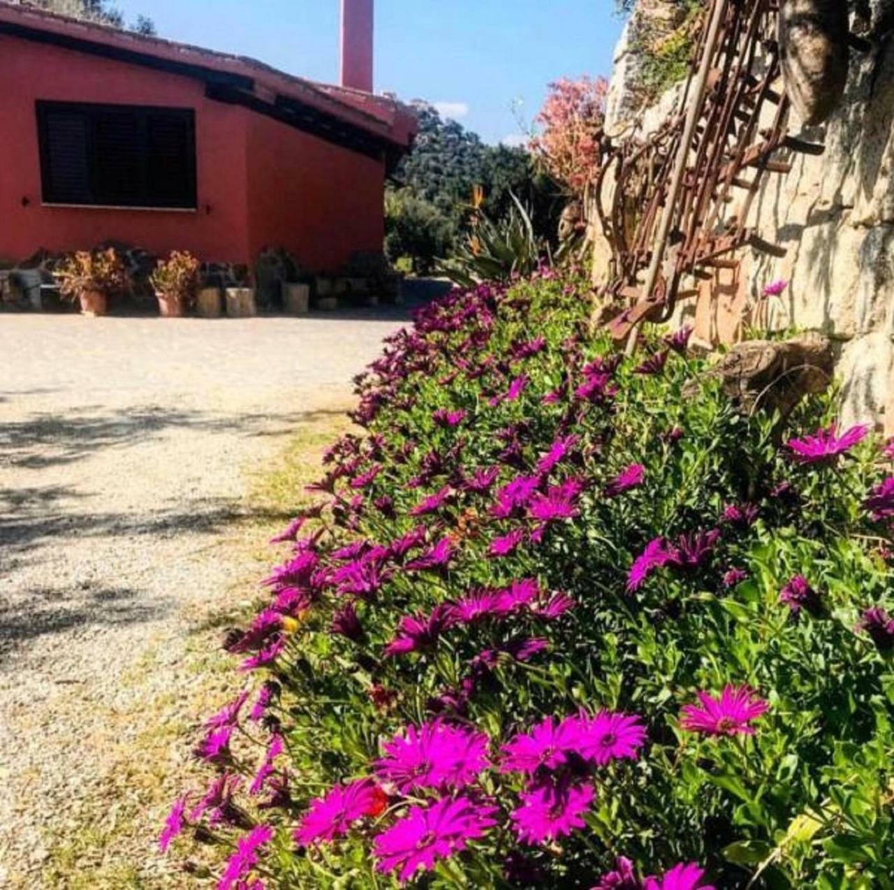 Agriturismo Su Barraccu Loceri Kültér fotó